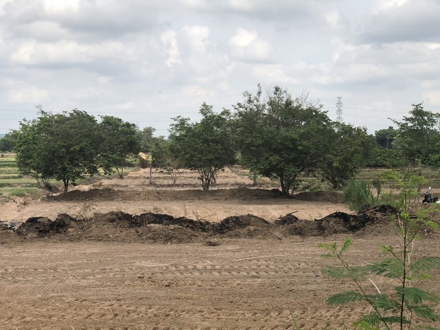 ขายที่ดิน 3 ไร่ 3 งาน 39 ตารางวา ตำบลกุดแห่ อำเภอเลิงนกทา จังหวัดยโสธร 35120