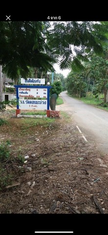 ที่ดินชุมพร  จำนวน 9 ไร่ 117 ตร.วา  ต.ทุ่งคา อ.เมืองชุมพร จ.ชุมพร