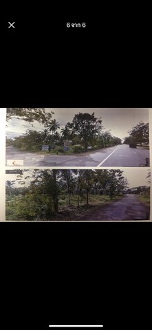 ที่ดินชุมพร  จำนวน 9 ไร่ 117 ตร.วา  ต.ทุ่งคา อ.เมืองชุมพร จ.ชุมพร