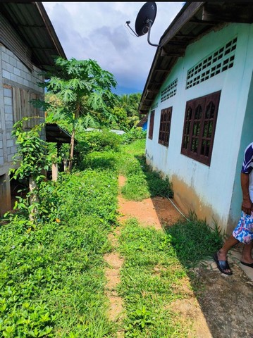 ขายบ้านติดถนน ราคาถูก ในอำเภอท่าปลา ในจังหวัดอุตรดิตถ์ ทำเลดี เหมาะแก่การค้าขาย ไม่ไกลจากตัวเมือง เจ้าของขายเอง