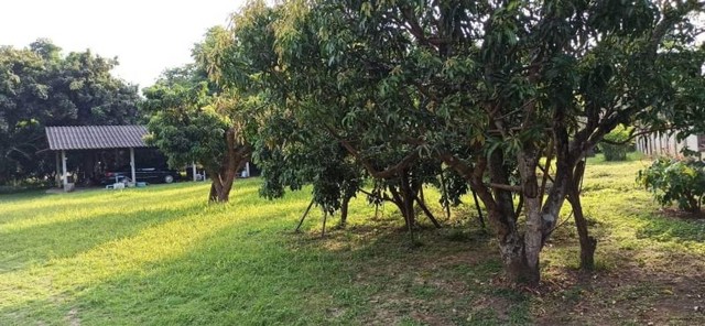 บ้านสวนสวย รั้วรอบ ไฟฟ้า น้ำครบ ดอนแก้ว สารภี