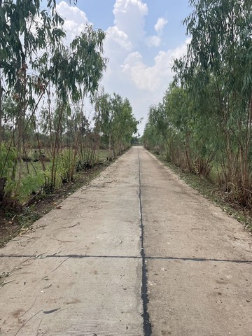 ขายที่ดินว่างเปล่า ติดถนนสุขาภิบาล อำเภออาจสามารถ  จ.ร้อยเอ็ด