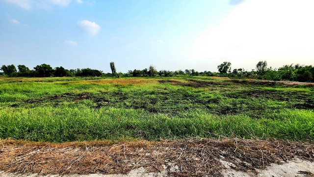 เช่า / ขาย บ้านดีไซน์หรูภายในบริเวณ เอกมัย 22 บ้าน3ชั้นพร้อมเข้าอยู่ ถนนสุขุมวิท63 เอกมัย22