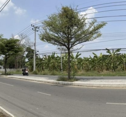  ขายที่ดิน 319 ตรว หน้ากว้าง ติดถนนเอกอุดร ใกล้ ม.รังสิต เหมาะสร้างที่อยู่อาศัย อาคาร