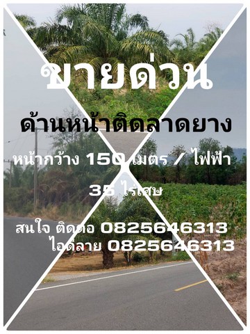 ขายที่ดิน ราคาโครตถูก หน้าติดถนนสาธารณะ ลาดยาง อ.เนินขาม จ.ชัยนาท จำนวน 35-2-16 ตรว