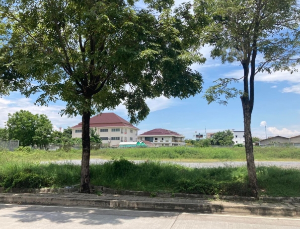  ให้เช่าที่ดิน4 ไร่เศษ ถมแล้ว  ที่สวยแปลงสี่เหลี่ยม พุทธมณฑลสาย2 สนามฟุตบอลแกรนบัลลงค์ดอร์ บางแค