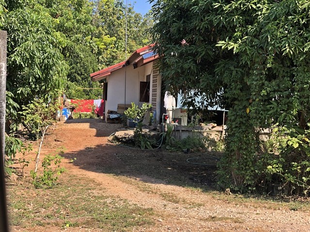 ขาย ที่ดินพร้อมสิ่งปลูกสร้าง บ้านพักอาศัยชั้นเดียว  ต.หนองปลิง อ.นิคมน้ำอูน จ.สกลนคร  PAP6-0316