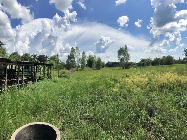 ขาย ที่ดิน ต.สว่างแดนดิน อ.สว่างแดนดิน จ.สกลนคร PAP2-0411