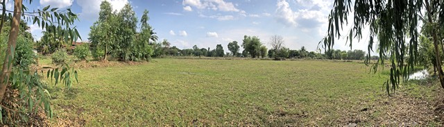 ขาย ที่ดิน ต.สว่างแดนดิน อ.สว่างแดนดิน จ.สกลนคร PAP2-0411