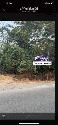 ขายที่ดินอำเภอหนองเสือ จังหวัดปทุมธานี  ขนาด 60 ไร่ 24 ตารางวา#รายละเอียดทรัพย์-ที่ดินขนาด 60 ไร่ 24 ตารางวา ตั้งอยู่ ตำบลหนองสามวัง อำเภอหนองเสือ จังหวัดปทุมธานี-หน้าที่ดินติดคลอง 12 กว้าง 85 เมตรลึก 1,188 เมตร (ความลึกติดถนนจากหน้าแปลงถึงท้ายแปลง)***ขายยกแปลงเพียง 43 ล้านบาท(ค่าโอนกรรมสิทธิ์ฟรี)###สนใจติดต่อโทร081-415-6328คุณฐิตินันท์