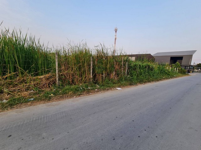 ขายที่ดิน ขนาด 395 ตรว. ซอย มอเตอร์เวย์ 7 ทะลุ ถนนกรุงเทพกรีฑา เดินทางสะดวกมาก เหมาะทำธุรกิจ 