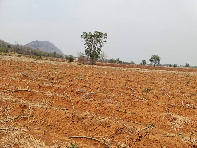 สงกรานต์นี้เล็งที่ทางดีดีสักแปลงนะคะ ขายที่ดินติดภูเขา ต.พระนอน อ.เมือง จ.นตรสวรรค์ วิวสวยมากๆๆ 5ไร่เศษ โทร 096-882-1857