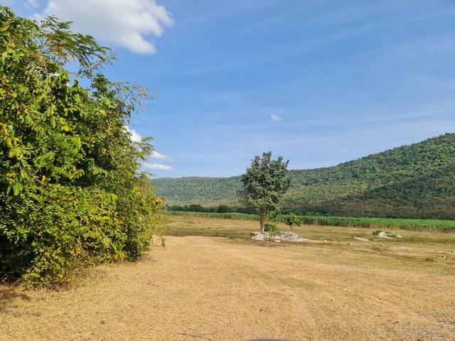 สงกรานต์นี้เล็งที่ทางดีดีสักแปลงนะคะ  ขาย ติดเทือกเขายาวเรียงแนว ดินดีสมบูรณ์ทรัพย์ในดิน  ตำบลนาจาน อำเภอสีชมพู ฟ้าใสอากาศดีขอนแก่น 