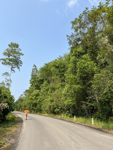 ขายที่ดิน 7 ไร่ 1 งาน 50.7 ตารางวา ตำบลท่างิ้ว อำเภอห้วยยอด จังหวัดตรังที่ตั้ง :  ตำบลท่างิ้ว อำเภอห้วยยอด จังหวัดตรัง 92130https://maps.app.goo.gl/1eCdYf3gFwx2ouff6ขนาดพื้นที่ : 7 ไร่ 1 งาน 50.7 ตารางวารายละเอียด-ที่ดินสวนยางพารา ต้นใหญ่ อายุประมาณ 20 ปี มีต้นสะเดาเทียมต้นใหญ่แซม-ลักษณะที่ดินเป็นเขา วิวสวย สามารถใช้ประโยชน์จากหน้าดิน ทำสวน ทำบ้านพักตากอากาศ ทำ Camp ได้-ที่ดินมีโฉนดครุฑแดงถูกต้อง-ห่