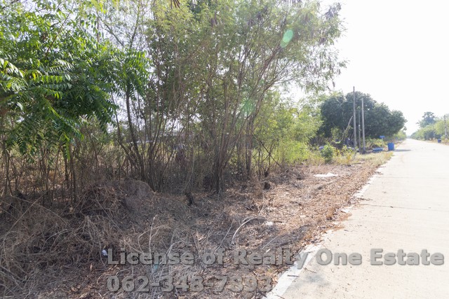 ขายที่ดิน โครงการสยามแลนด์ ซ.สยามแลนด์ คลองเก้า หนองเสือ ปทุมธานี