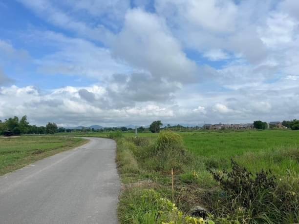 ขายด่วน 48 ล้าน ที่ดินสวย 16 ไร่ หารแก้ว หางดง จ.เชียงใหม่ เดินทางสะดวก ติดถนนเข้าออกง่าย ติดกับโรงเรียนนานาชาติเกรซ ห่างจากถนน 108 1 กม.