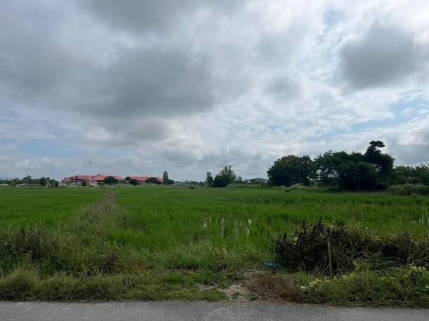 ขายด่วน 48 ล้าน ที่ดินสวย 16 ไร่ หารแก้ว หางดง จ.เชียงใหม่ เดินทางสะดวก ติดถนนเข้าออกง่าย ติดกับโรงเรียนนานาชาติเกรซ ห่างจากถนน 108 1 กม.