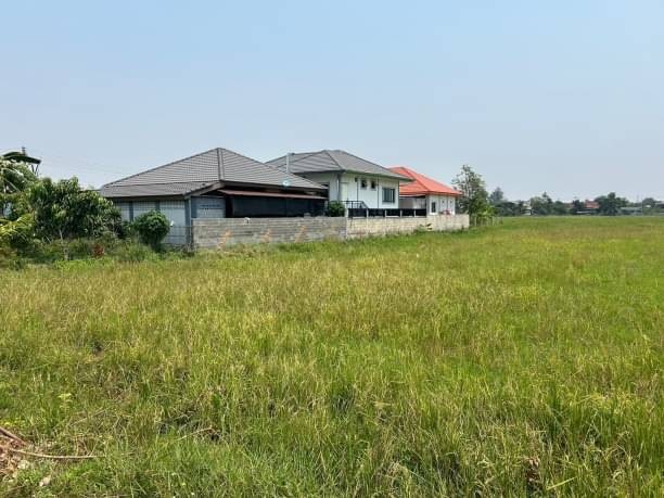 ขายด่วน ไร่ละ 3 ล้าน เนื้อที่ 2 ไร่ ต้นเปา สันกำแพง ที่ดินผังเหลือง ข้างเคียงจัดสรรทำบ้านขาย เข้า-ออกได้หลายทาง 