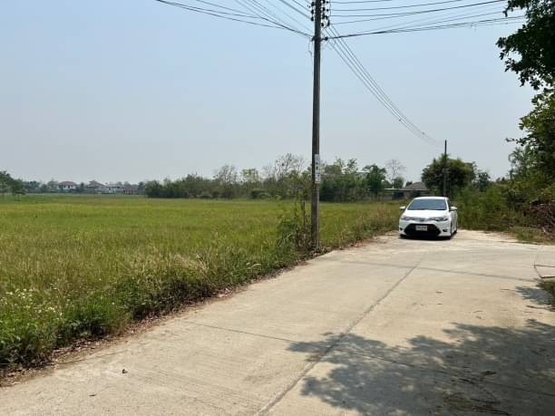 ขายด่วน ไร่ละ 3 ล้าน เนื้อที่ 2 ไร่ ต้นเปา สันกำแพง ที่ดินผังเหลือง ข้างเคียงจัดสรรทำบ้านขาย เข้า-ออกได้หลายทาง