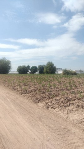 ขายที่ดินสีม่วงเข้มเหมาะสร้างโรงงาน เขตปลวกแดง ระยอง 53 ไร่