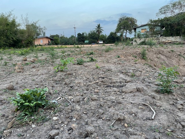 ขายด่วน ที่ดิน 1 ไร่ 92 ตารางวา ตำบลสระสี่เหลี่ยม อำเภอพนัสนิคม จังหวัดชลบุรี