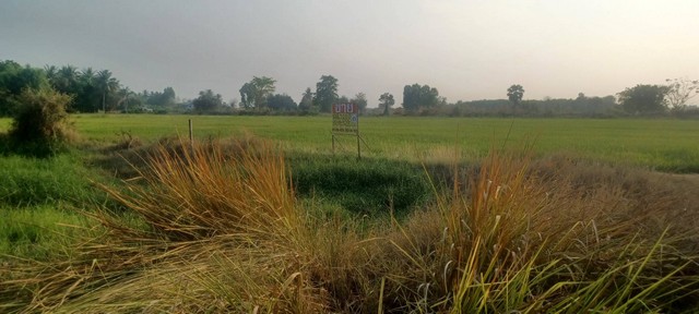 ขายที่ดิน ติดถนนสายหลัก  5-2-0  ไร่  อ.วัดโบสถ์ จ.พิษณุโลก  ZK277