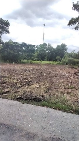 Sub1060ที่ดินลำลูกกา 2 ไร่ ถมแล้ว ติดบึงน้ำ ทำเลดีมาก ใกล้Reignwood Parkขายยกแปลง 5,000,000฿ พร้อมโอนสนใจติดต่อ0889246933  คุณโอ๋ที่ดิน 2ไร่เศษ ติดถนนสองด้าน  ถนนด้านหน้าที่ดิน มีเกาะกลางกว้าง16 เมตรที่ดินติดบึงน้ำ  บรรยากาศดี น้ำไฟพร้อม เหมาะปลูกบ้านพักผ่อน เดินทางเข้าเมืองสะดวก ติดกรุงเทพ  ใกล้จุดขึ้นลงโครงการก่อสร้างทางยกระดับ ใกล้โครงการReignwood Park แค่400เมตร    -ขอนำเสนออีก1แปลง ที่ดิน