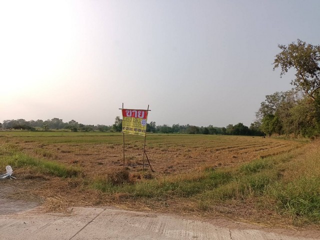 ที่ดิน 5-1-76 ไร่  ใกล้ อบต.น้ำซึม  ต.น้ำซึม อ.เมือง จ.อุทัยธานี   ZK265 