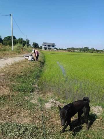 ที่ดิน 5-1-76 ไร่  ใกล้ อบต.น้ำซึม  ต.น้ำซึม อ.เมือง จ.อุทัยธานี   ZK265