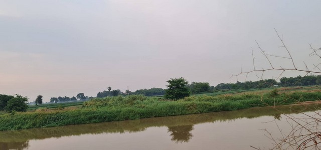 สงกรานต์นี้เล็งที่ทางดีดีสักแปลงนะคะ   ขาย ทางสายหลักผ่านหลากหลายจังหวัดแห่งเมืองไทย  ชุมแสง  จ.นครสวรรค์ 300000 บาท.วิวแม่น้ำเกษตรดีงามสวยสมบูรณ์