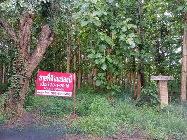 ขายด่วน ที่ดินสวนยาง ตำบลร่องจิก อำเภอภูเรือ จังหวัดเลย ราคา 550,000 บาท/ไร่ 