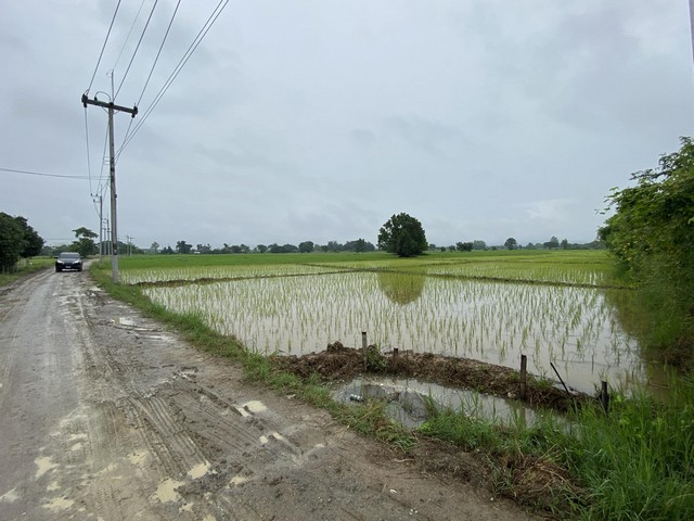 ขายที่ดิน ที่นา 2-3-9.8ไร่ 8.32ลบ. ถนน ไฟฟ้า น้ำประปา ต.แช่ช้าง อ.สันกำแพง เชียงใหม่