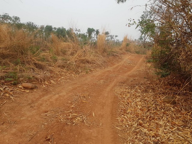 สงกรานต์นี้เล็งที่ทางดีดีสักแปลงนะคะ  ขาย ธรรมชาติเนินเขา ที่ดินโฉนดแบ่งขาย สวยๆ ท่ามกลางธรรมชาติหล่มเก่า ดินดีทำเกษตรงาม  ที่ดินดีสมบูรณ์ หล่มเก่า เพชรบูรณ์ ใกล้ภูทับเบิก โทร 0968821857