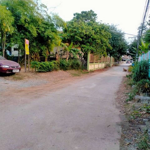 ขายด่วนบ้านพร้อมที่ดิน 147 ตารางวา  ทำเลดีและบรรยากาศดี  มีทางเข้าออกสะดวก ต.อรัญญิก  อ.เมือง  จ.พิษณุโลก   ZK274