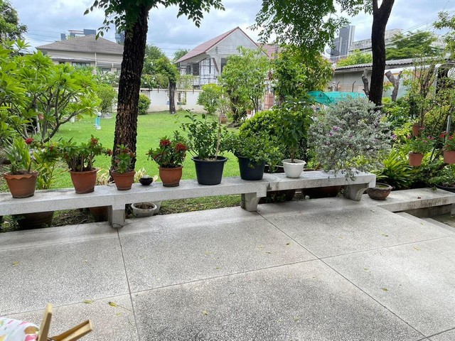 HS690ขายที่ดินพร้อมบ้านเดี่ยว เนื้อที่ 223 ตรว.ซอยสุขุมวิท 64 ใกล้ BTS ปุณณวิถี