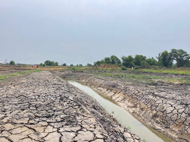 ที่ดินคลอง23 ต.ศีรษะกระบือ อ.องครักษ์ จ.นครนายก ราคาถูกเริ่มต้นไร่ล่ะ  890,000 บาท เท่านั้น