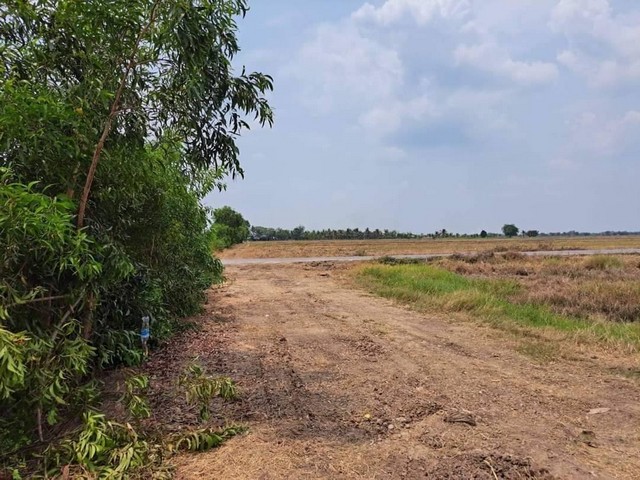 ที่ดินเงินผ่อน คลอง23 องครักษ์ นครนายก ขนาด 100 ตารางวา ราคาพิเศษ