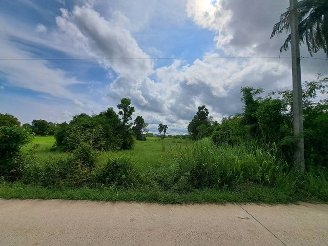 ขายที่ดิน พัทยา อำเภอบางละมุง จังหวัดชลบุรี ขนาด 12 ไร่ 1 งาน 85 ตารางวา(2 โฉนด)##รายละเอียดและติดตั้งครับ-ที่ดิน 2 แปลงติดกันแปลงแรกขนาด 11 ไร่ 2 งาน 14 ตารางวา-แปลงที่ 2 ขนาด 3 งาน 71 ตารางวา-รวม 12 ไร่ 1 งาน 85 ตารางวา-ตั้งอยู่ตำบลห้วยใหญ่ อำเภอบางละมุง จังหวัดชลบุรี-ทางเข้าที่ดินหน้ารีสอร์ทวันเวลา-เหมาะสำหรับทำรีสอร์ท โครงการหมู่บ้าน และพูลวิลล่า****ราคาเพียงไร่ละ 3 ล้าน 8 แสนบ