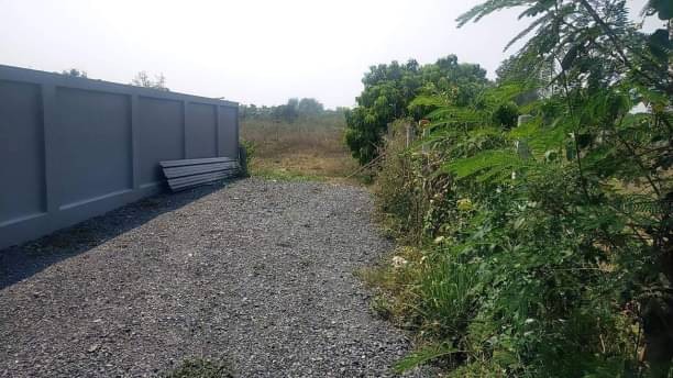 ขาย 1.8 ล้าน ที่ดินเปล่าในชุมชน พื้นที่ 1 ไร่  โซนสารภี แบ่งขายงานล่ะ 550,000 บาท เหมาะสร้างที่อยู่อาศัย