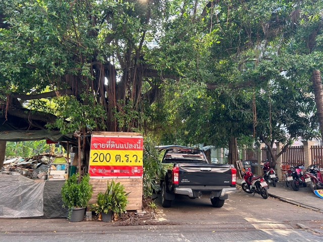 ขายที่ดินเปล่า เนื้อที่ 200 ตารางวา รามคำแหง 42 บางกะปิ กรุงเทพ
