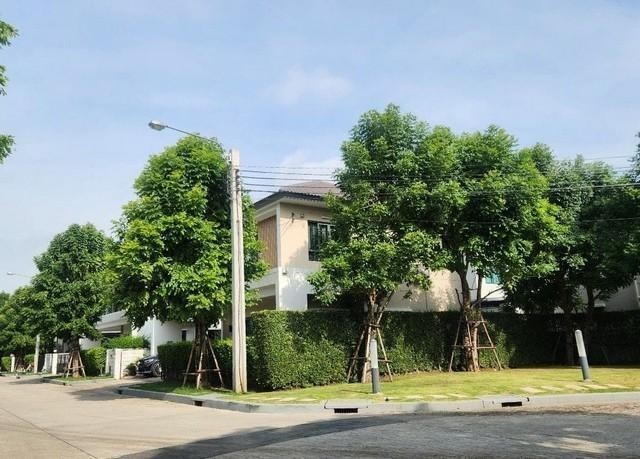 PO511 ขายบ้านเดี่ยว 2 ชั้น โครงการ เซนโทร CENTRO อ่อนนุช-สุวรรณภูมิ ซอยกิ่งแก้ว 37