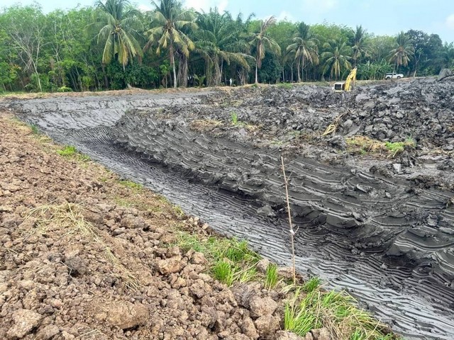 ที่ดินคลอง9 ซอยเอี่ยมสะอาด หนองเสือ ปทุมธานี  ขนาด6 ไร่