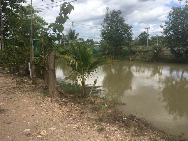 ขายที่ดิน 4ไร่ 60ตรว. 3.5ล้านบาท บ้านสวน 1นอน2น้ำ โกดัง บ่อปลา ต.บ้านแป้น อ.เมือง ลำพูน