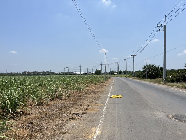 ขายที่ดินเปล่า 70ไร่ มีโฉนดที่ดินพร้อมโอน ติดถนนสาธารณประโยชน์ อำเภอบ้านโป่ง ราชบุรี