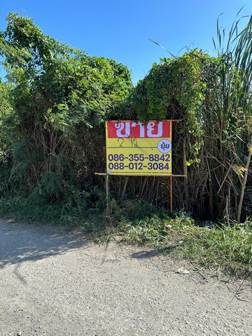 ขายที่ดินสวย 1 ไร่ ถนนเจ้าคุณทหาร  ซอยหมู่บ้านแฮปปี้เพลส   ลาดกระบัง   ZT367 