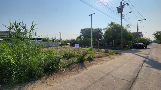 ขายที่ดินติดถนนคอนกรีต บางบ่อ สมุทรปราการ ถมแล้ว 40 ตรว  เหมาะทำปลูกบ้าน ทำโกดัง ออฟฟิศ หรือซื้อเก็บเก็งกำไรในอนาคต