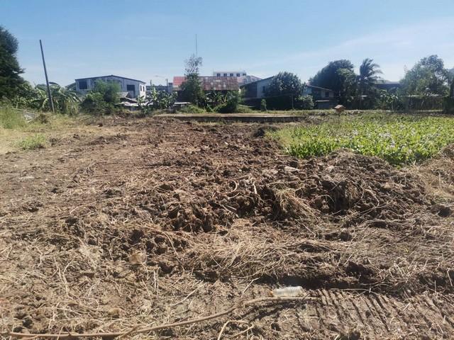  ขายที่ดินเปล่า 255 ตารางวา ถนนเฉลิมพระเกียรติ ร.9 ซอย 6 แยก 3 ติดคลองบางนา บรรยากาศเงียบสงบ ใกล้สถานีรถไฟฟ้าสายสีเหลือง