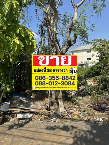 ขายที่ดินติดถนน 38 ตารางวา   สะแกงาม ซอย 33    บางขุนเทียน   ZT372 