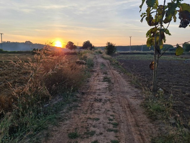 เมษานี้ทีมการตลาดขอเสนอทรัพย์ขายลูกค้า ขายที่ติดน้ำโขง ต.กุดบง อ.โพนพิสัย จ.หนองคาย หน้าติดถนนโยธาธิการ  หลังติดแม่น้ำโขง ไร่ละ 2ล้านบาท โทร 096-882-1857