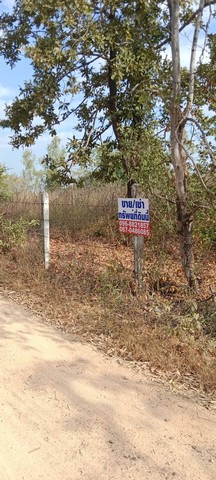 เมษานี้ทีมการตลาดขอเสนอทรัพย์ขายลูกค้า  ขาย ที่สวยติดทางหลวง1107 เมืองบ้านตาก จ.ตาก คมนาคมสะดวกมาก 36 ไร่เศษ อ.บ้านตาก  จ.ตาก  ติด ทล.1107 โทร 0968821857